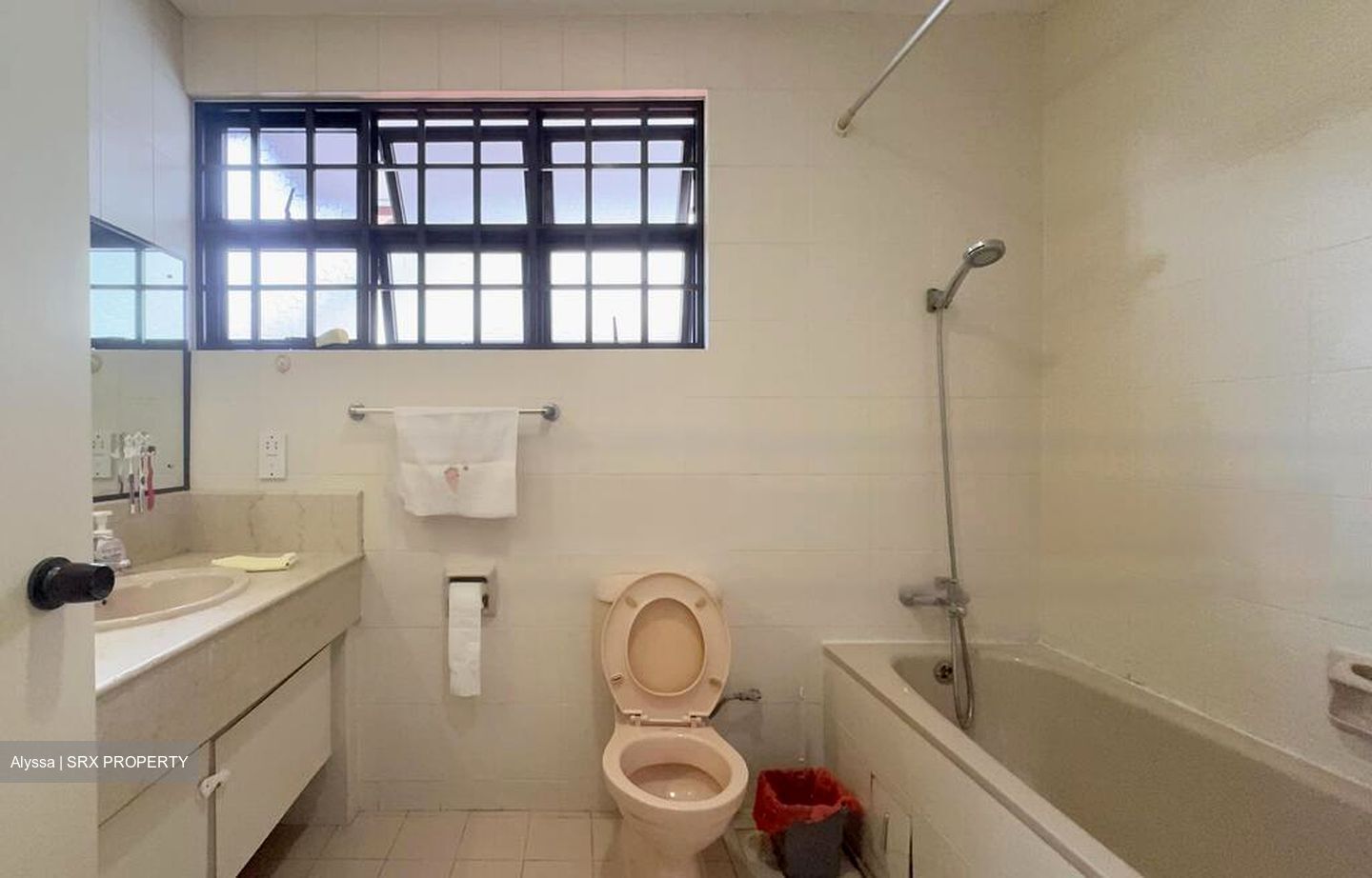 Seletar Hills Estate (D28), Semi-Detached #455767171